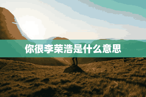 你很李荣浩是什么意思